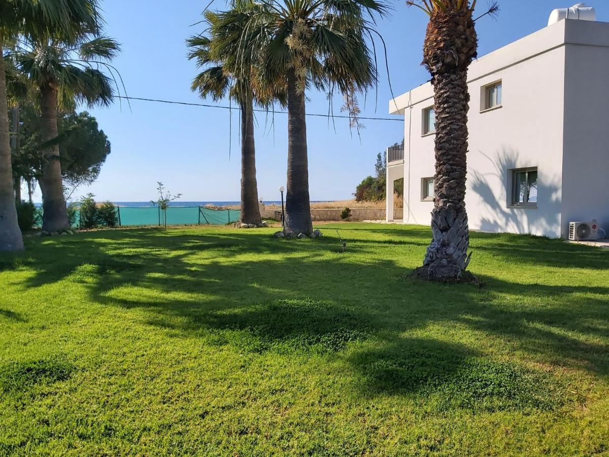 Argaka Palm Tree Apts Extérieur photo