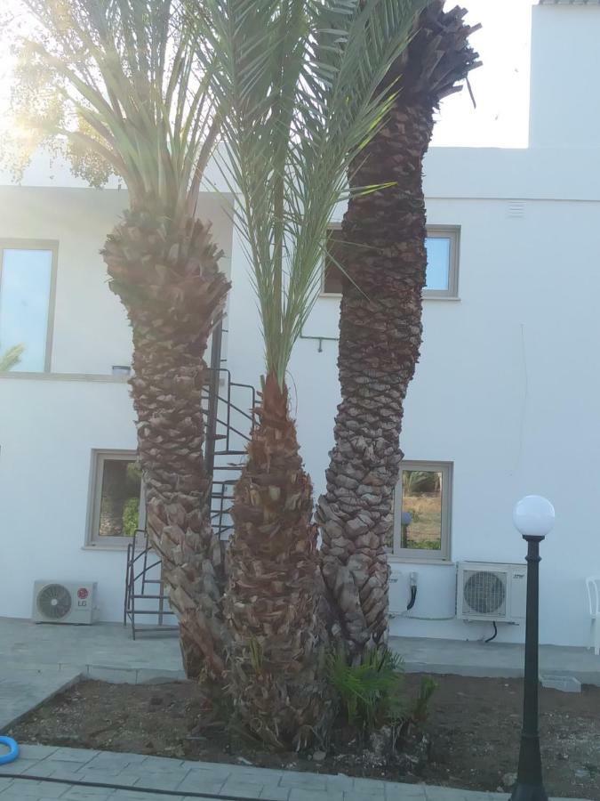 Argaka Palm Tree Apts Extérieur photo
